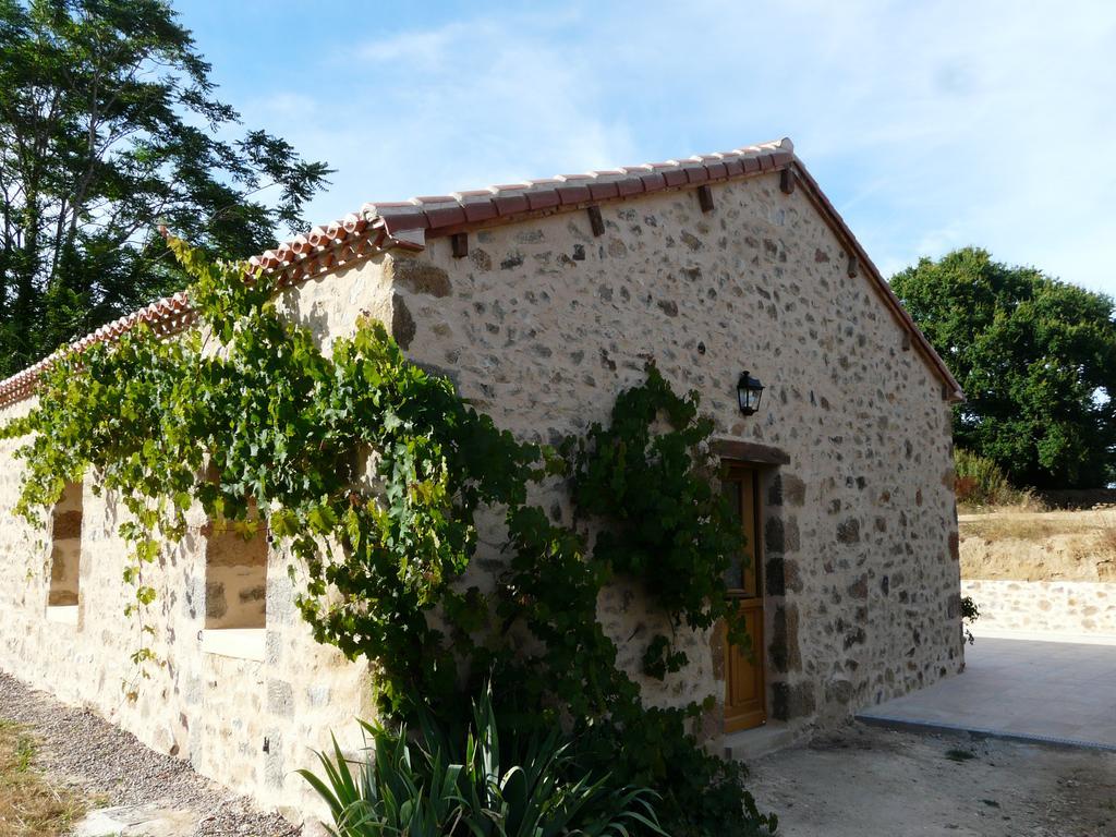 Gîte Des Vergnes Esse Extérieur photo